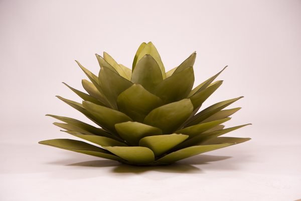 Silent Resilience - Image 3
