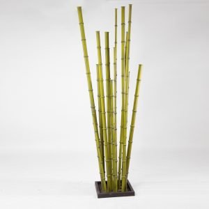 Whispers of the Bamboo Grove