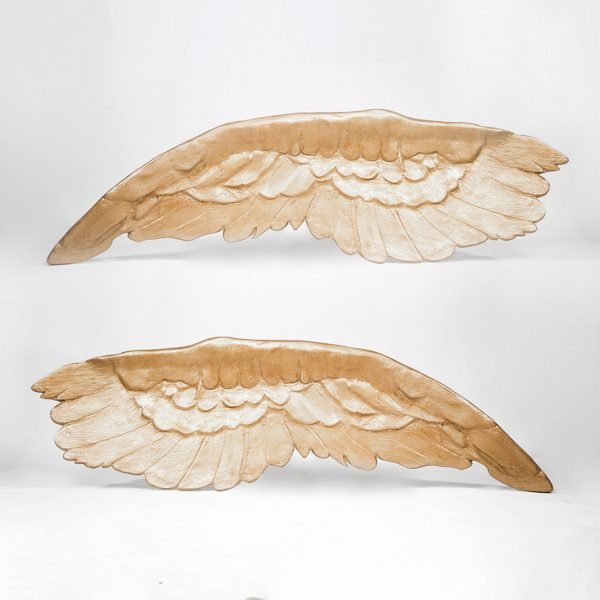 Wings of Celestial Majesty