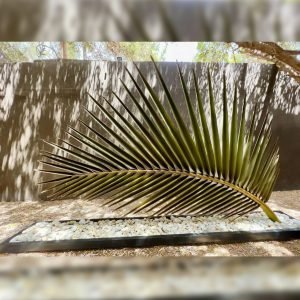 Golden Leaf Serenity