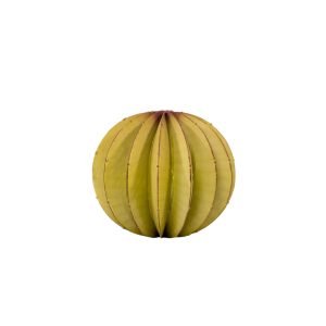 Verdant Essence - Harmonique