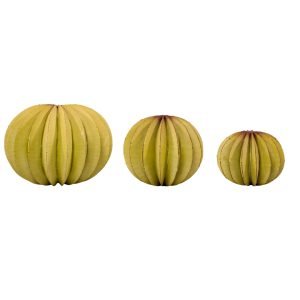 Verdant Essence - The Trilogy Collection