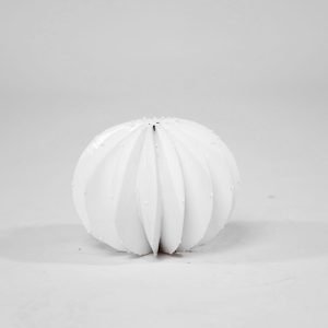 Lunar Bloom - Petite